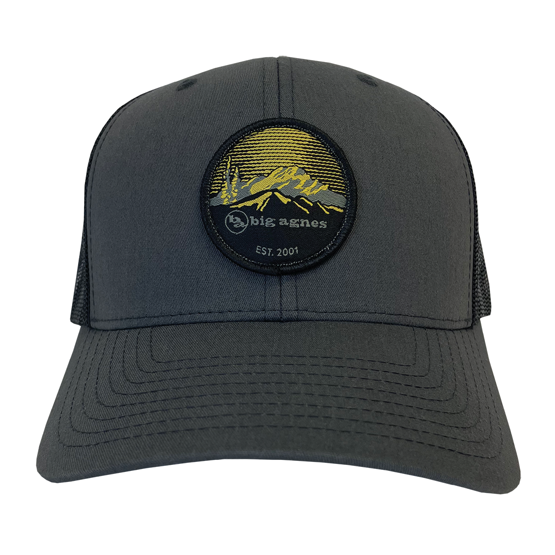EST. 2001 Logo Baseball Hat