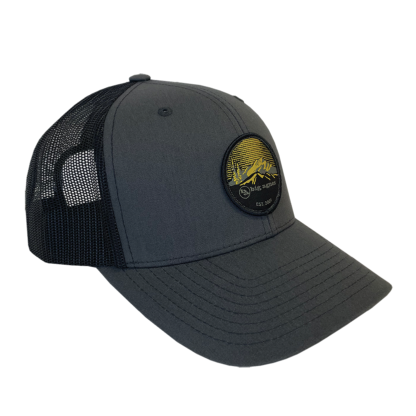 EST. 2001 Logo Baseball Hat
