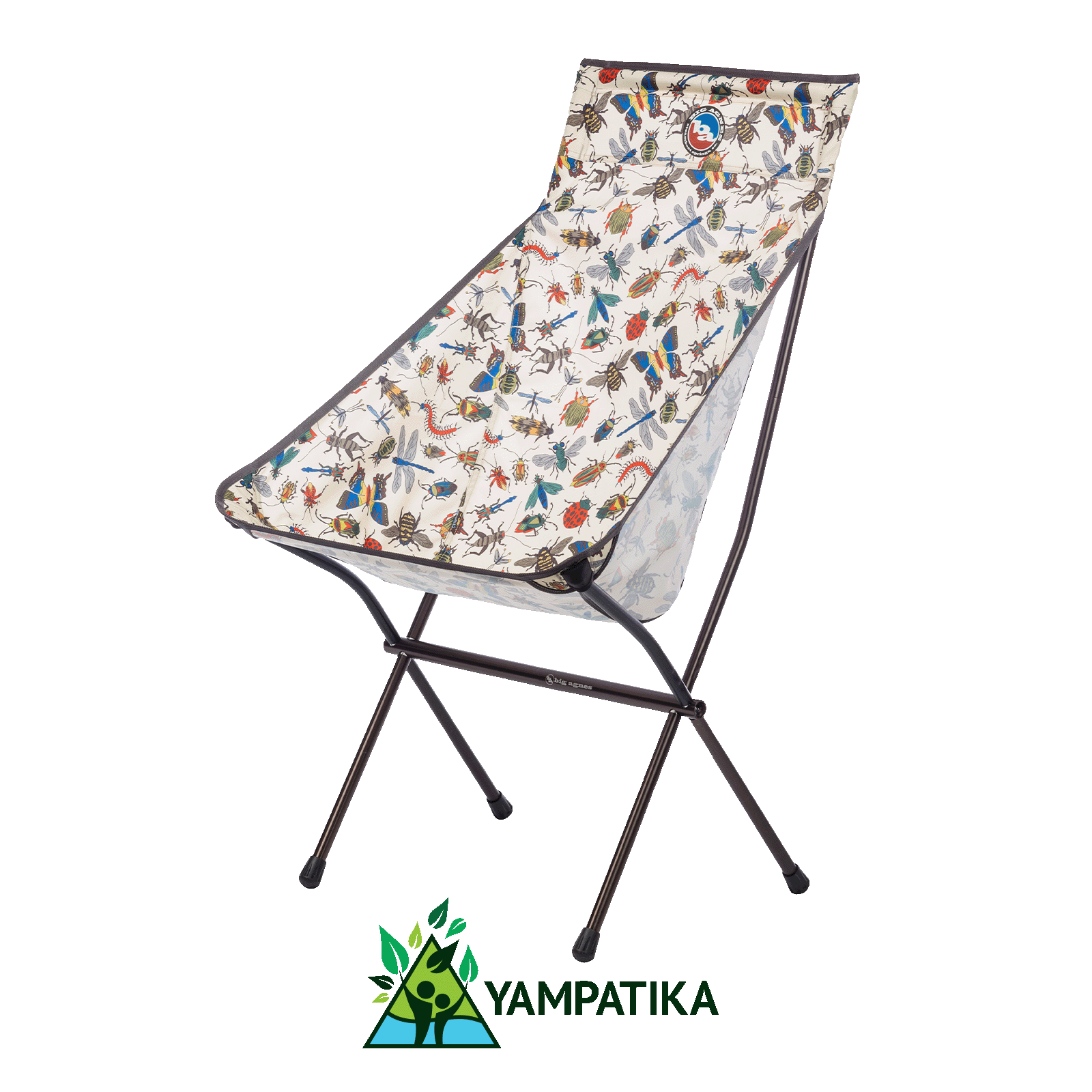 Big Six Camp Chair