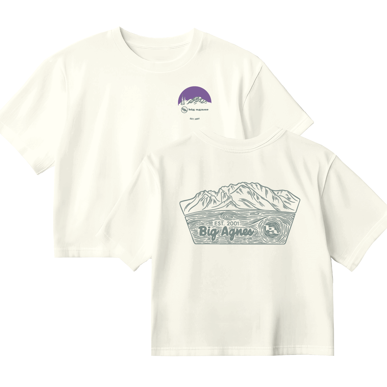 White t-shirt with mountain graphic and 'Big Agnes' branding on a white background