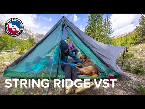 String Ridge VST 1.5